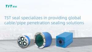 The TST seal modular sealing system with wide application worldwide